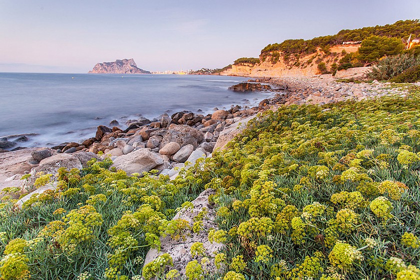 Todas las calas de La Marina Alta,  ​y lo mejor de cada una de ellas.
