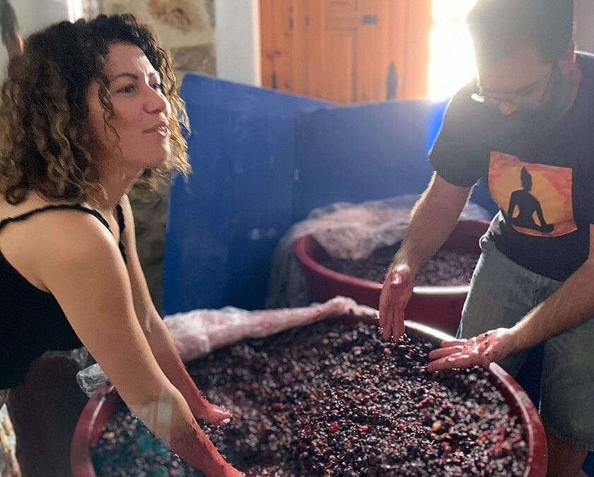 5 bodegas con alma en la Marina Alta que no te puedes perder